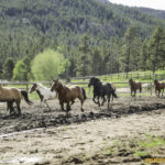 Wind River Ranch, Colorado
