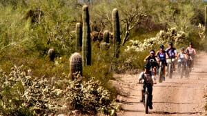 Group of people riding bikes on a dusty dirt road next to cacti