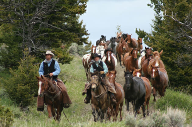Two people riding horses with a large group of horses running behind them