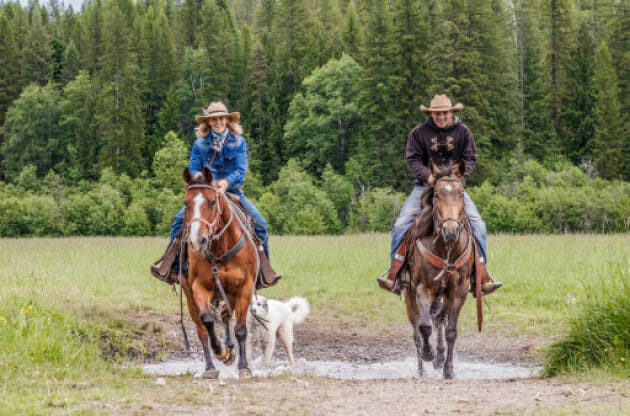 Two people riding horses with a dog following them