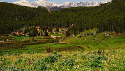 Field in the foreground, small village in the mid ground, and a forest and mountains in the background