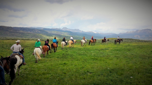 Group of people on horses riding in a line through a field