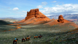 Group of people on horses in the distance