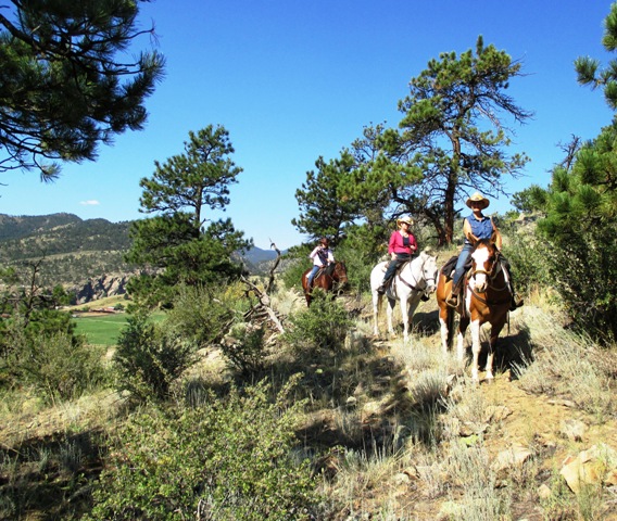 Sylvan Dale Trail Ride with trees