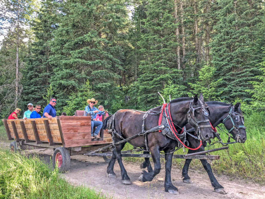 Horse Drawn Wagon