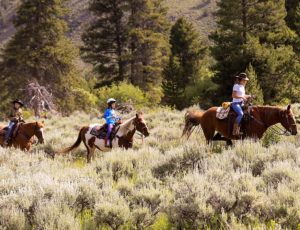 3 people riding horses in a field
