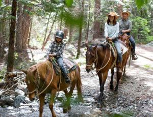little kid and parents on trail ride through trees