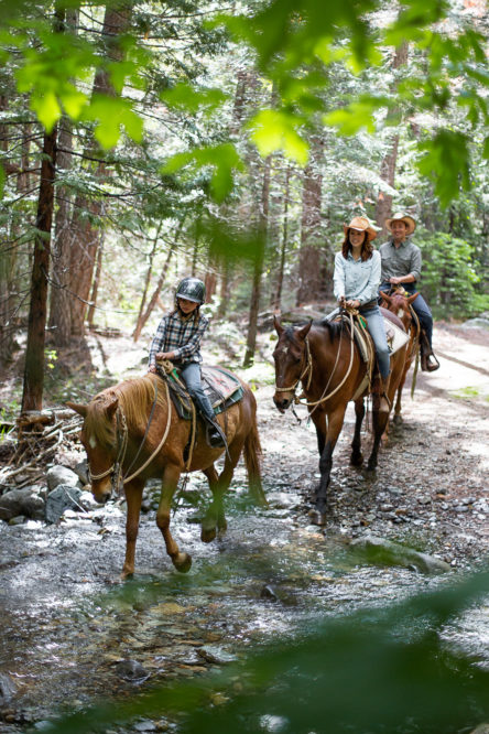 little kid and parents on trail ride through trees