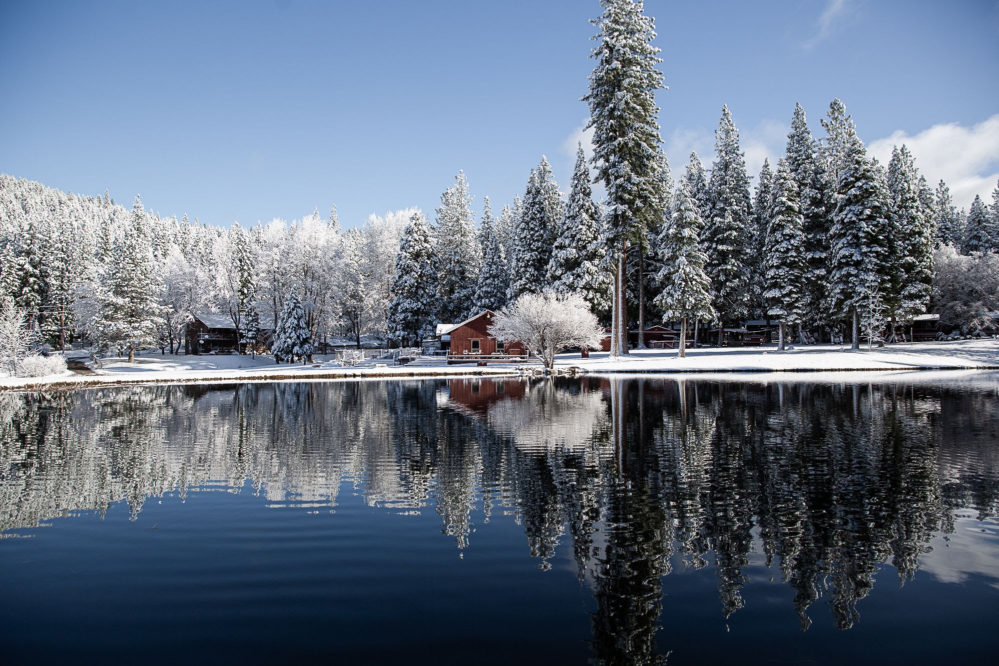 open lake with snow covered banks, cabin and pine trees
