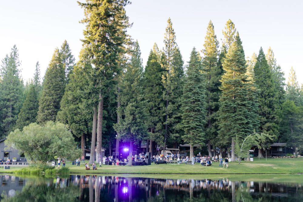 large green lawn with lights and pine trees