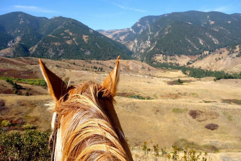 horses ears and mountains