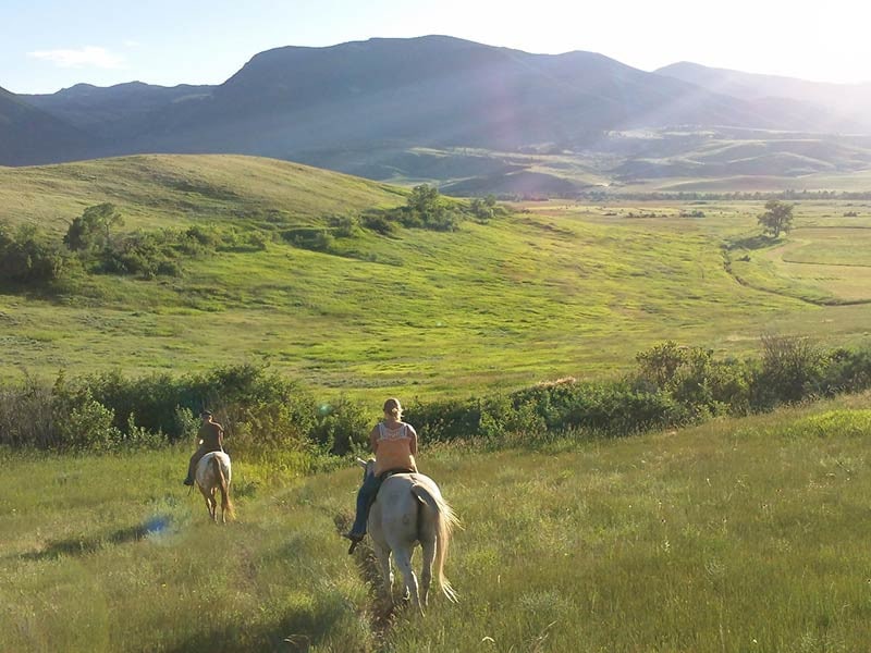 two people riding horses through green hillside