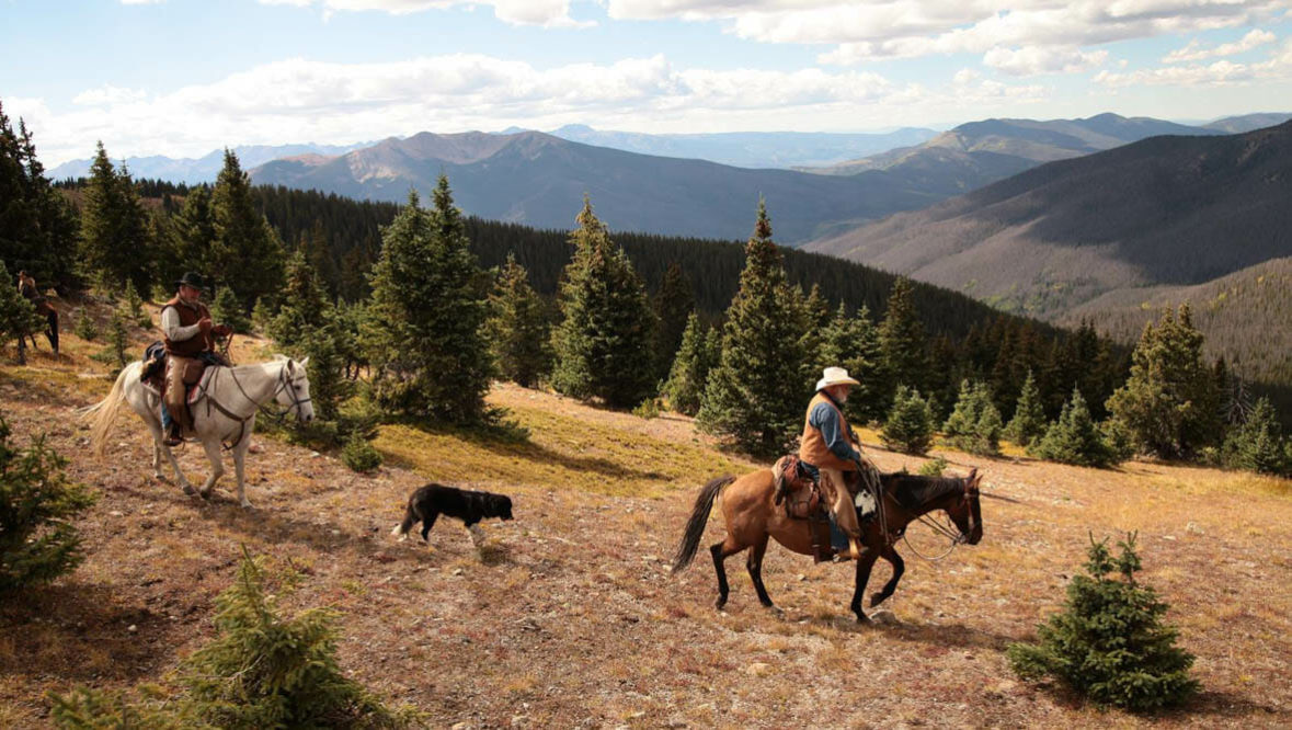 Trail ride with a dog at Bar Lazy J Ranch