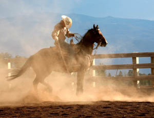Wrangler in an arena at Black Mountain Ranch