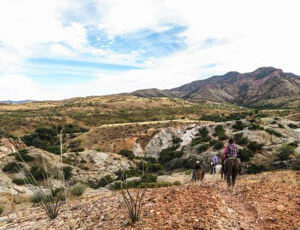 Desert trail ride at Circle Z Ranch