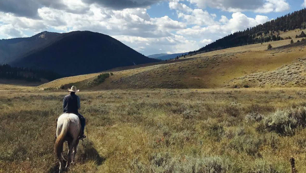 Guest on a horse roaming through fields at Elkhorn Ranch Montana