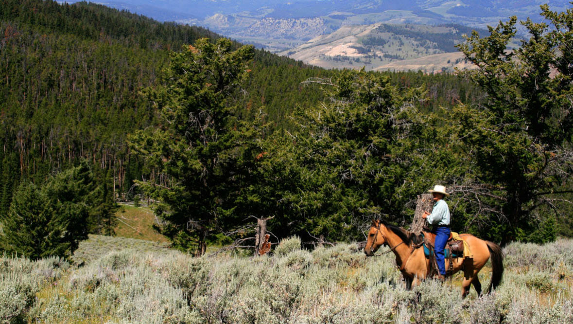 Trail ride at Elkhorn Ranch Montana