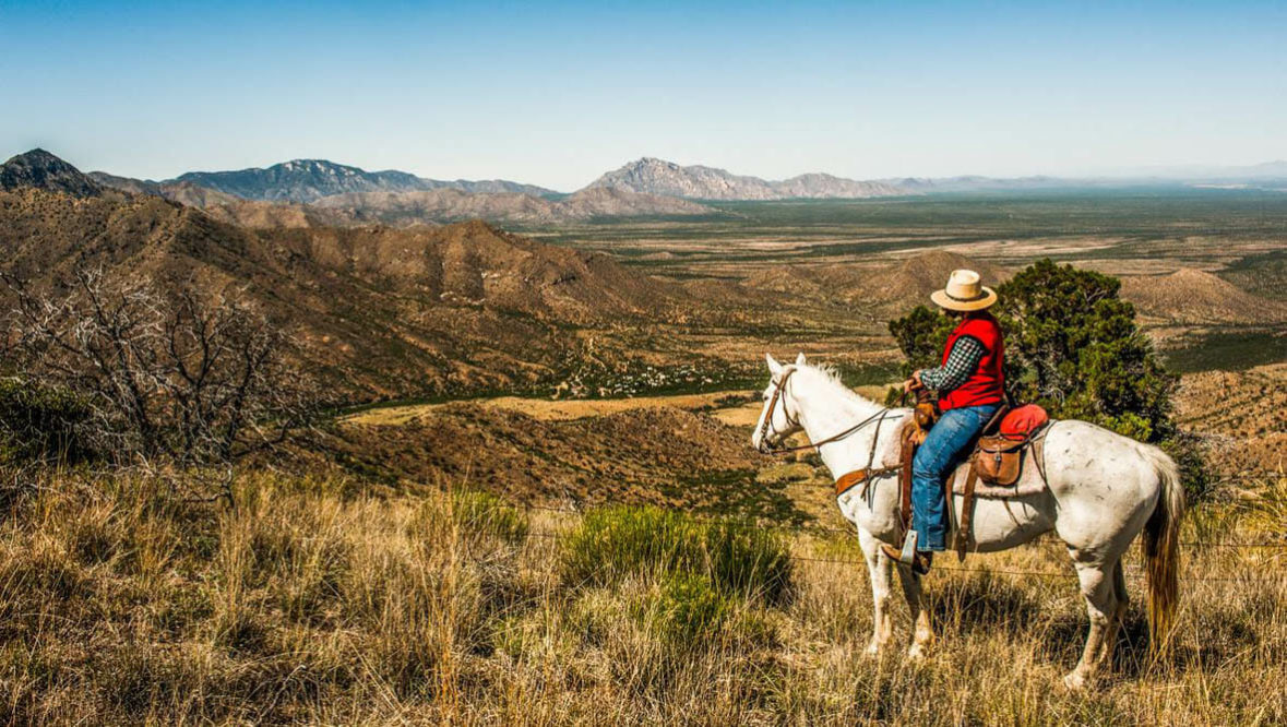 Cowboy and horse looking at the canyon view at Elkhorn Ranch Arizona