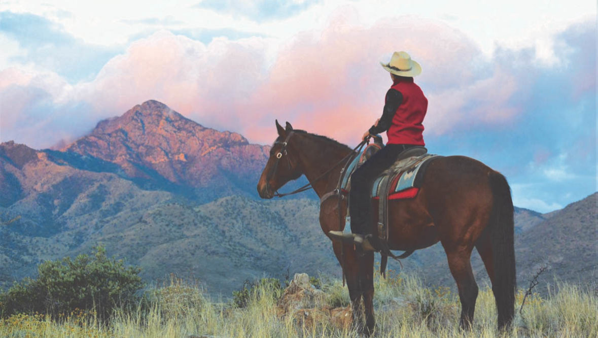 Cowgirl watching the sunrise at Elkhorn Lodge Arizona