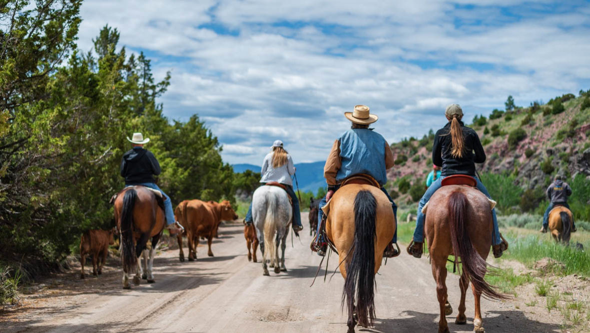 Group horseback ride at Hidden Hollow Ranch