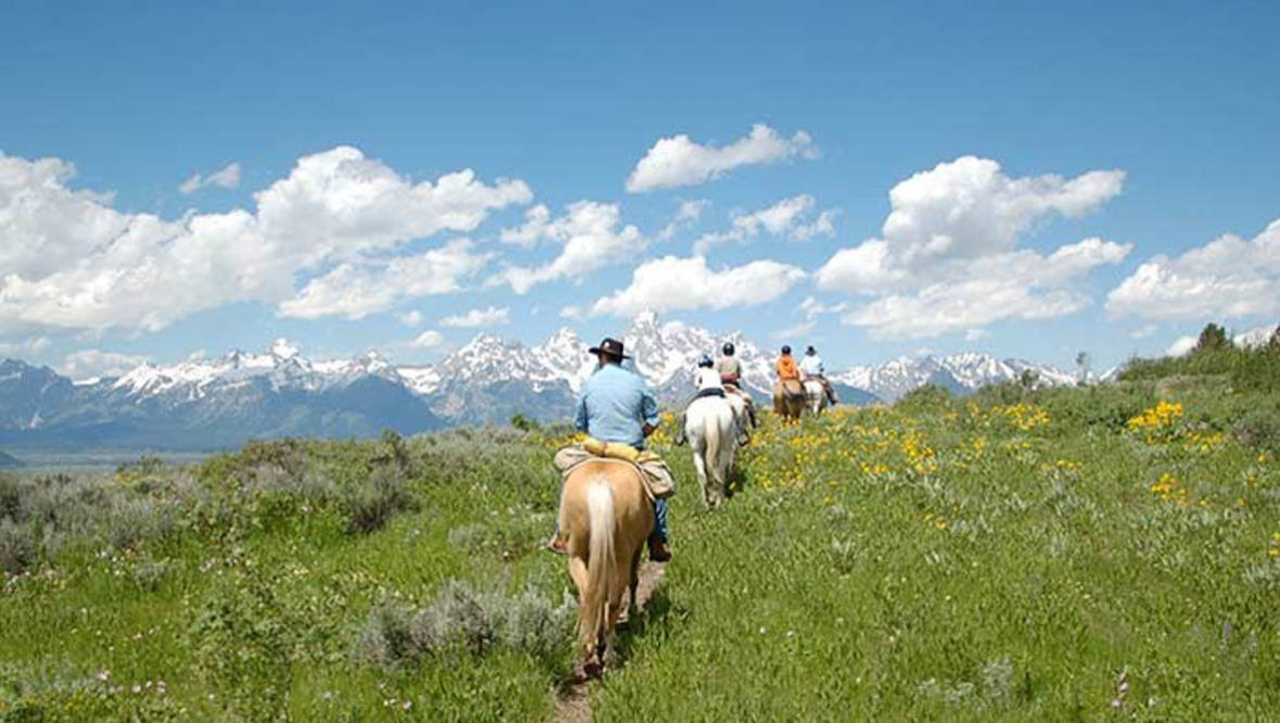 Trail ride in a field at R Lazy S Dude Ranch