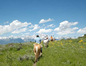 Trail ride in a field at R Lazy S Dude Ranch