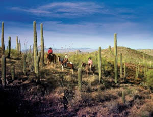 Cactus trail at Rancho de los Caballeros