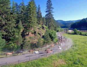 Horse herd running at Red Horse Mountain Ranch