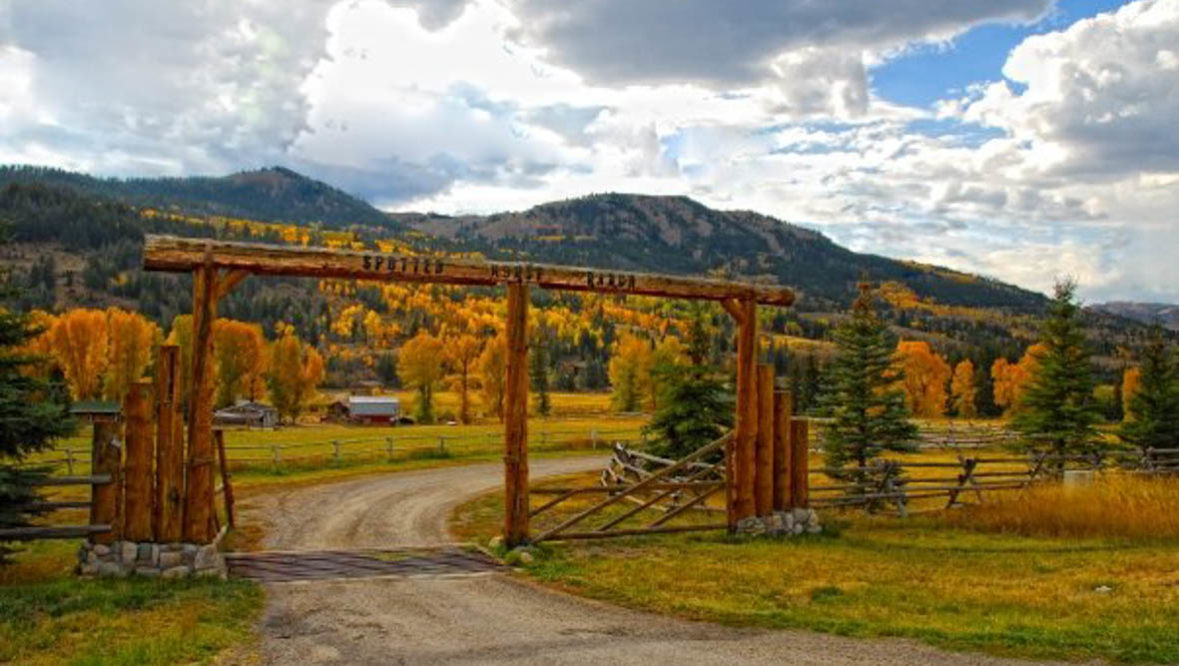 Spotted Horse Ranch cat post