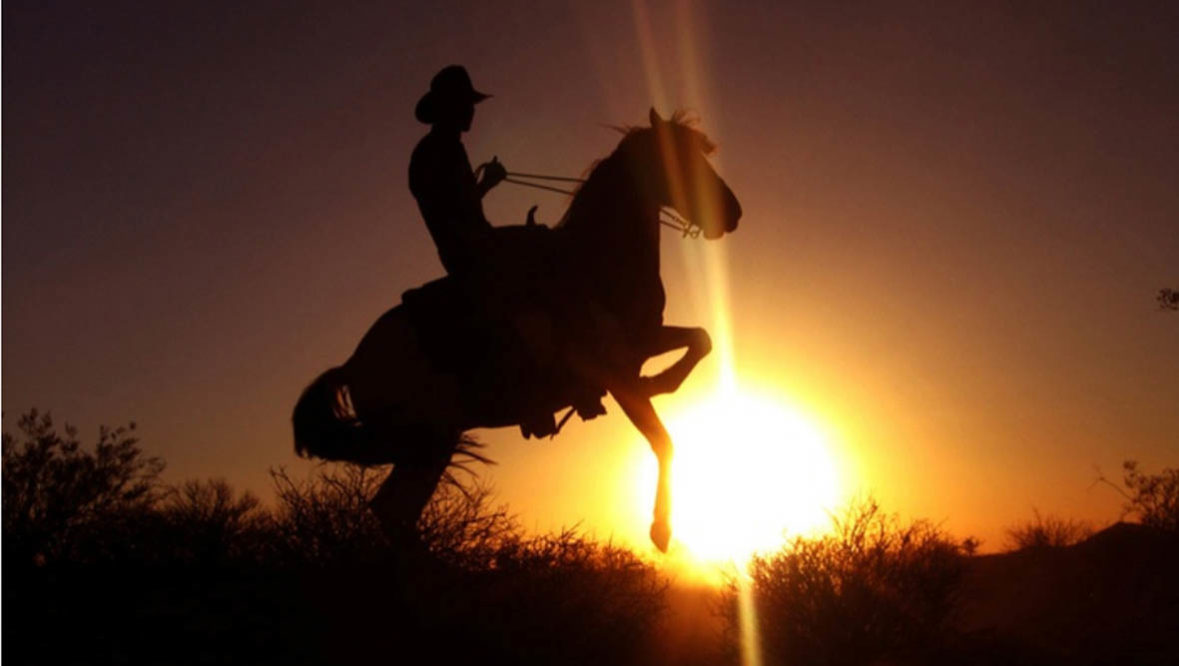 Person on horse rearing up in silhouette at Sunset at Stagecoach Trails Guest Ranch