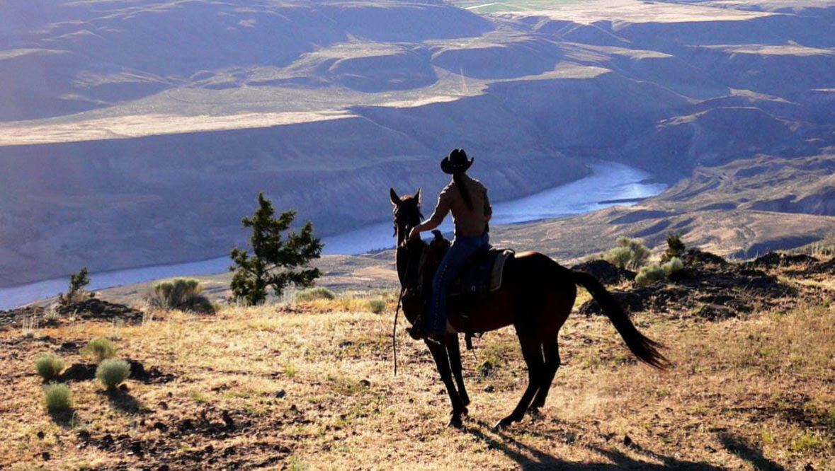 Sundance Guest Ranch cowboy on a horse looking at a view