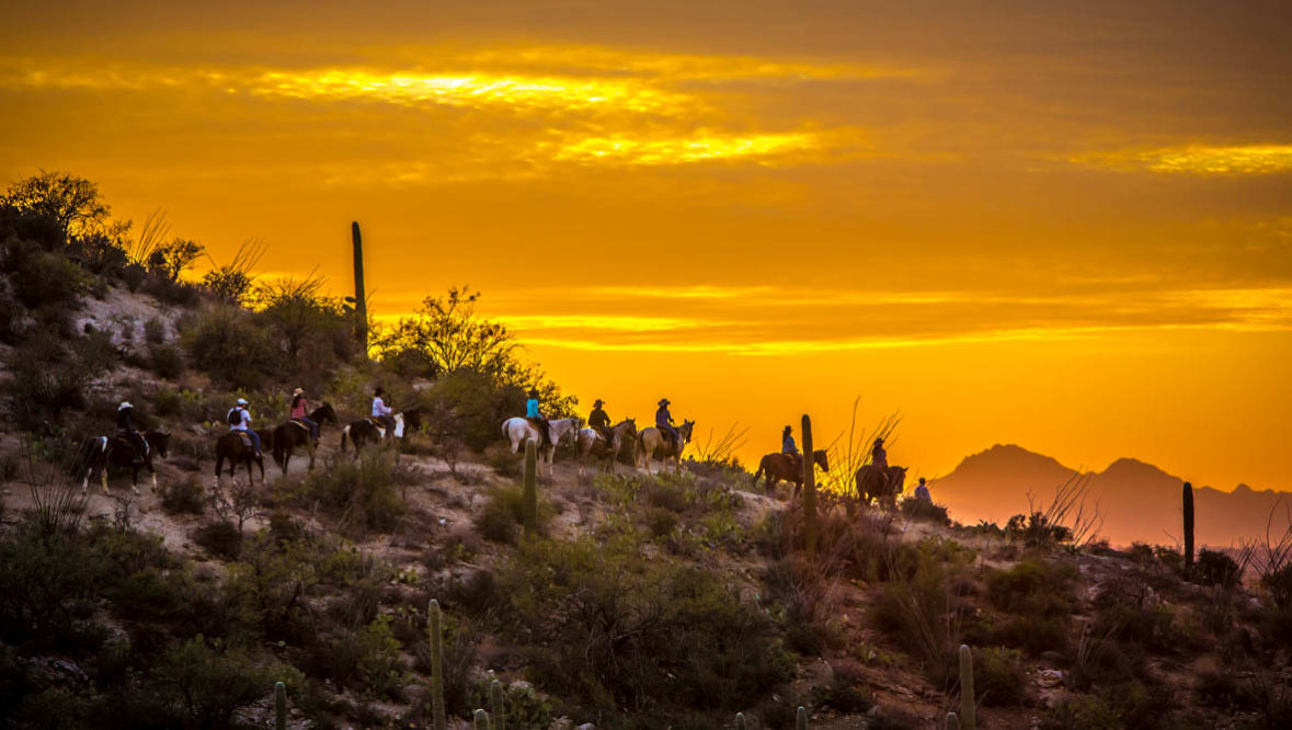 Tanque Verde Ranch trail ride at sunset