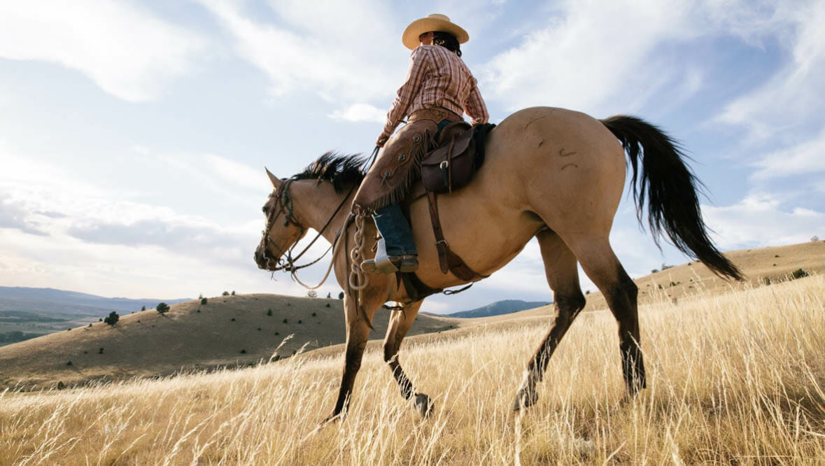 Upper Canyon buckskin horse with a rider