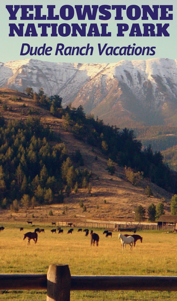 yellowstone national park