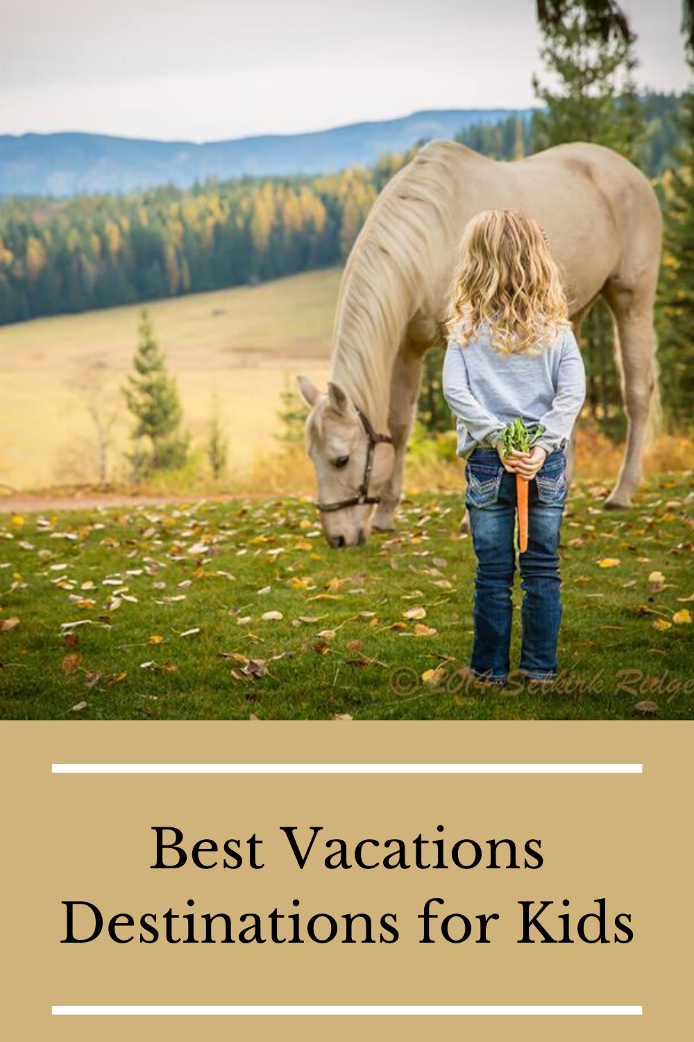 Best Vacations Destinations for Kids