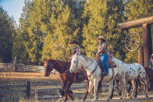 Western Pleasure Dude Ranch