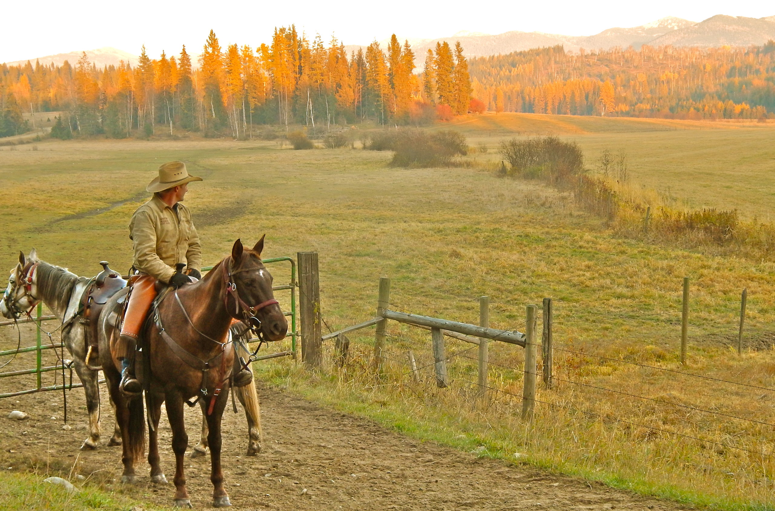 western pleasure guest ranch