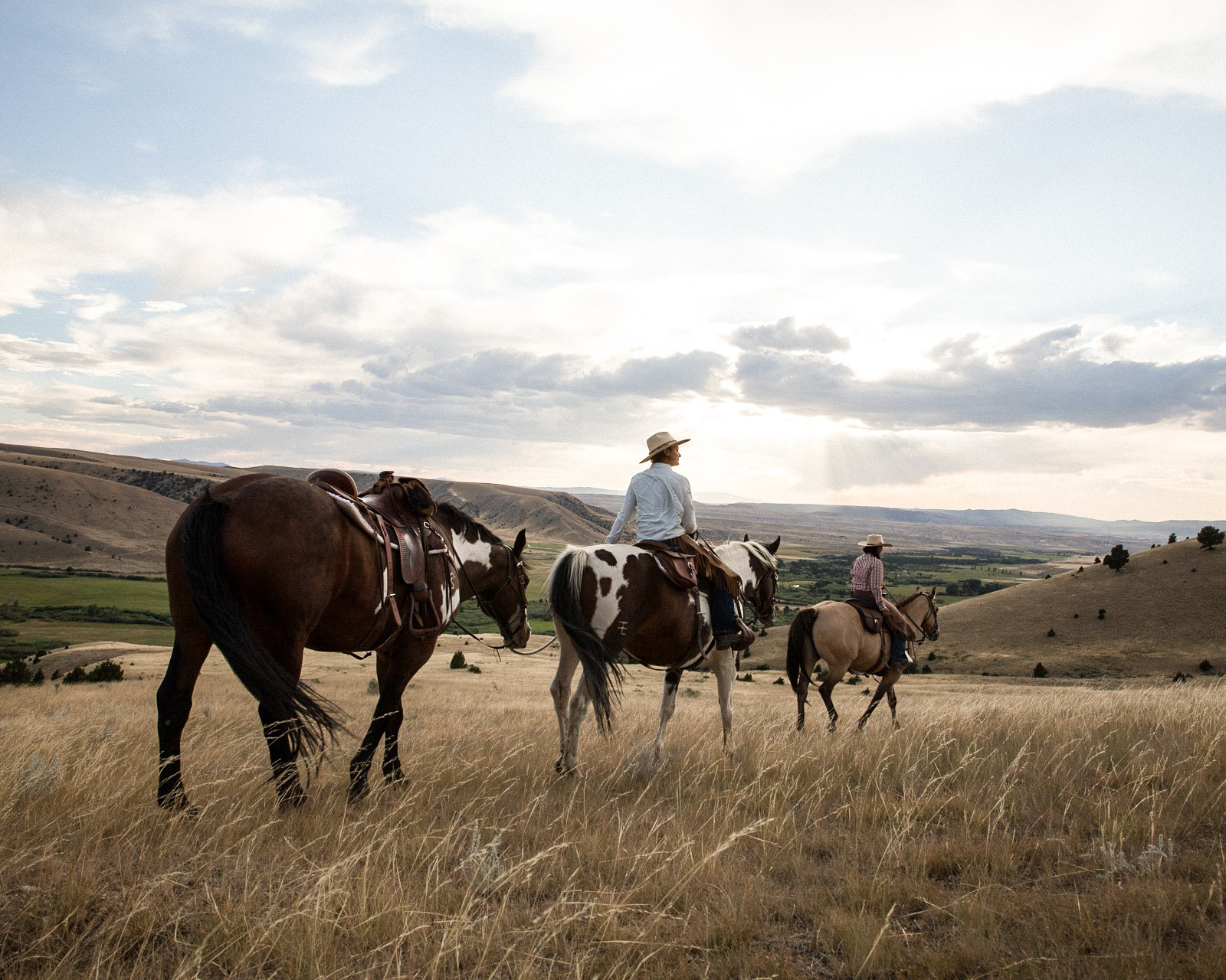 people riding horses