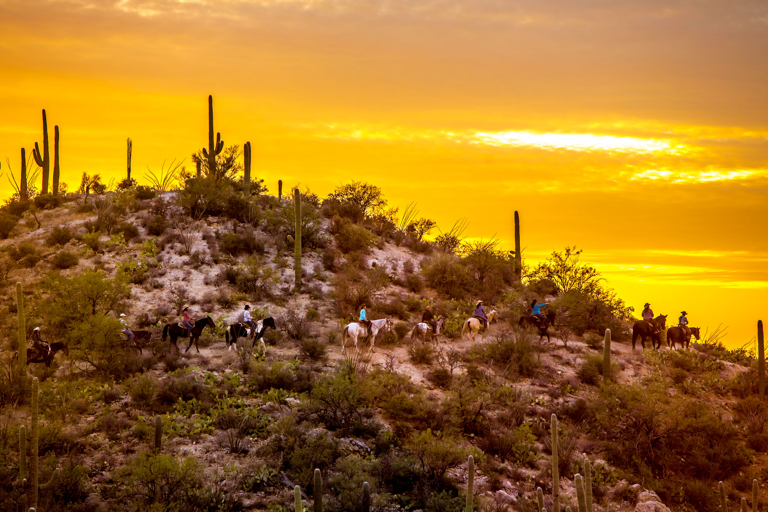 Arizona Ranch Vacation 