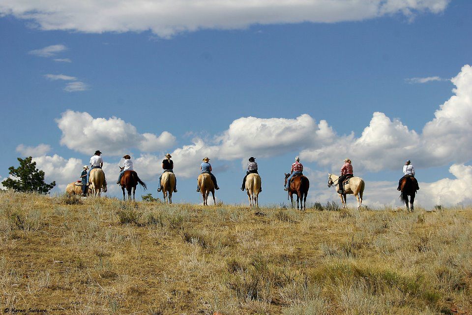 Sylvan Dale Reunions