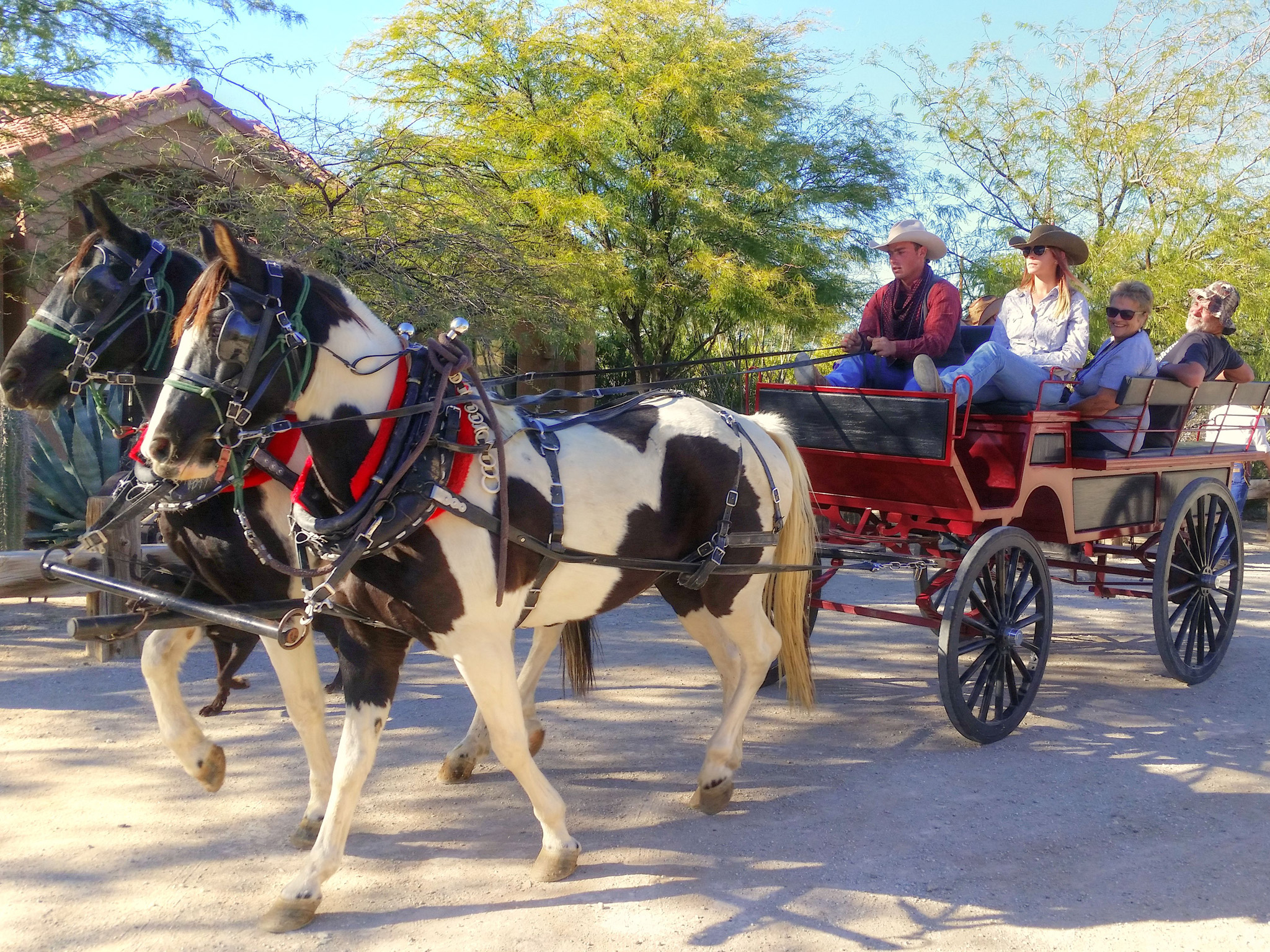 Arizona Ranch Vacation 