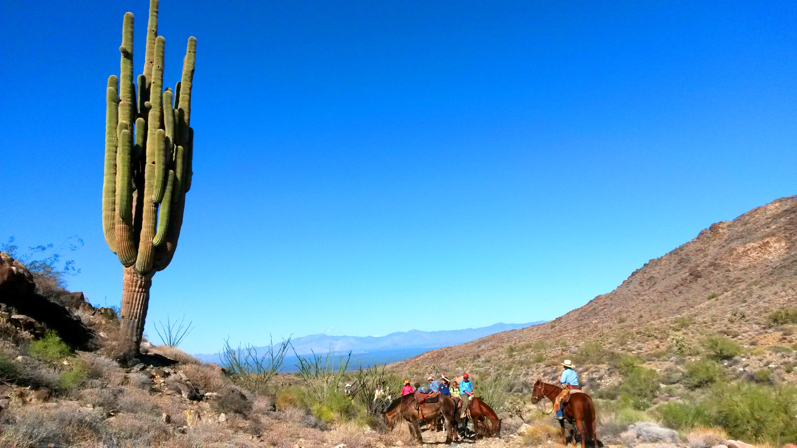 Arizona Ranch