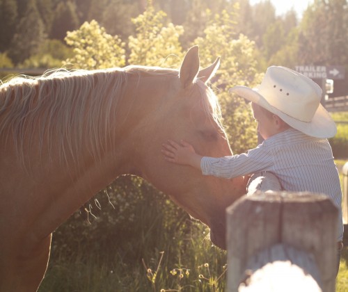 Seven Devils Small Dude Ranches