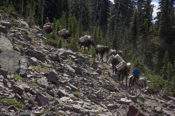 RIch Ranch offers Bob Marshall Wilderness Adventures