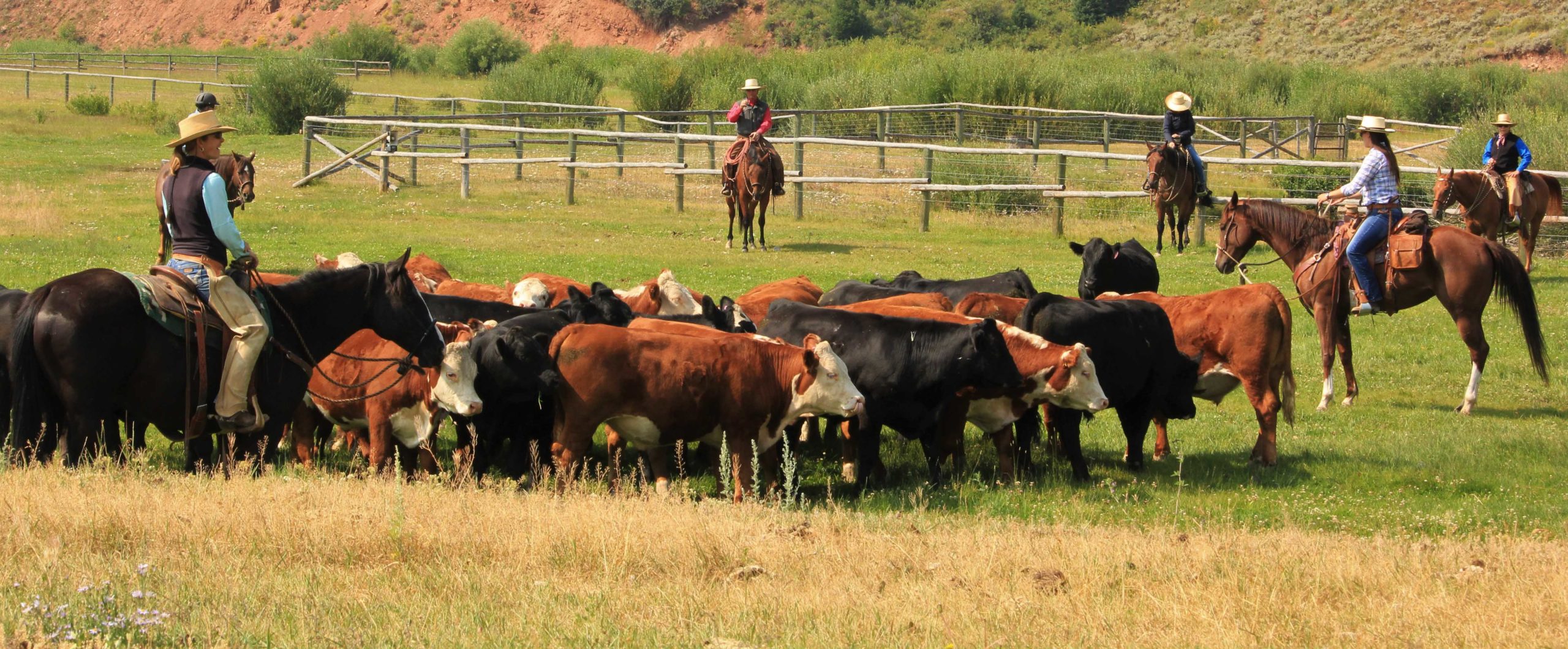 The Red Rock Ranch