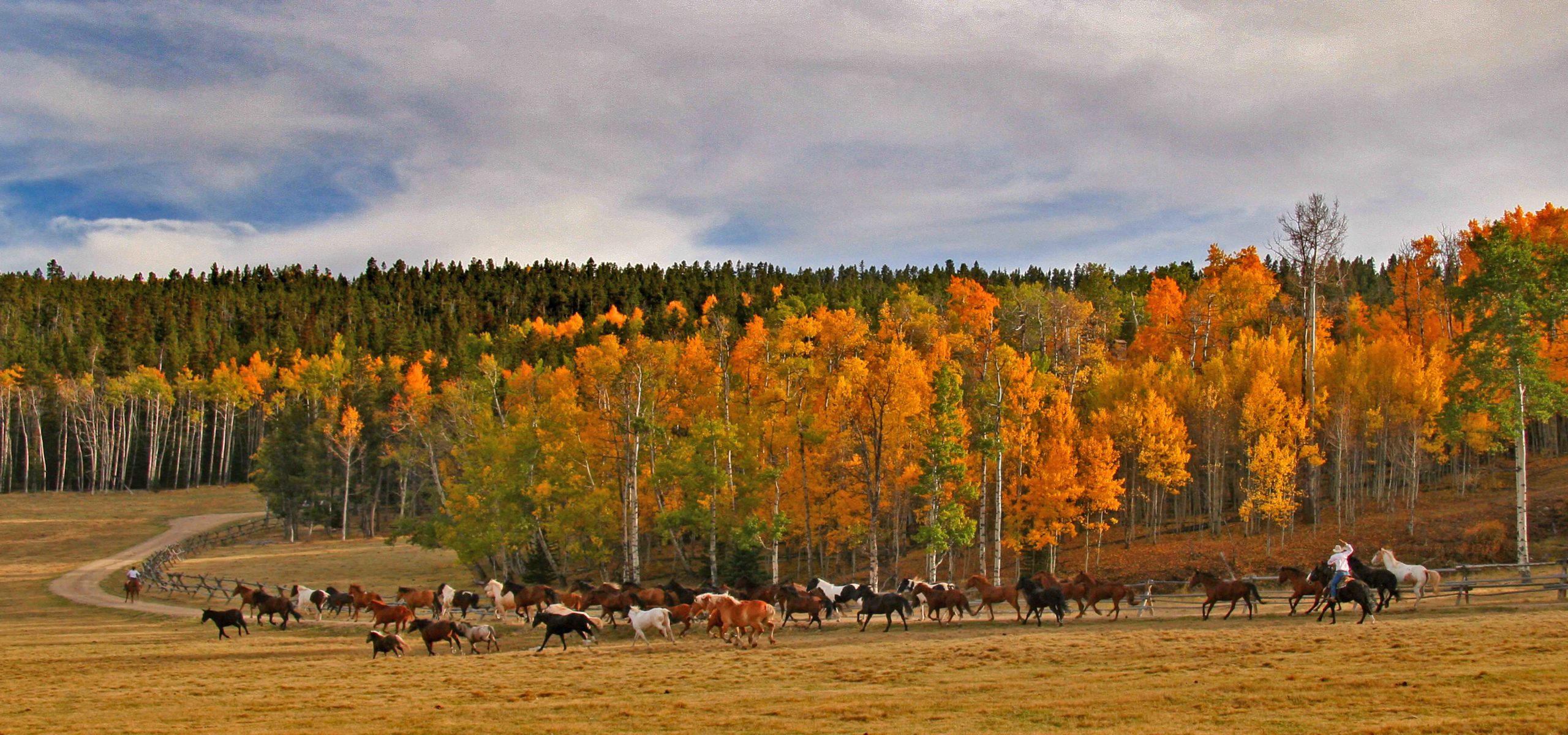 Paradise Guest Ranch