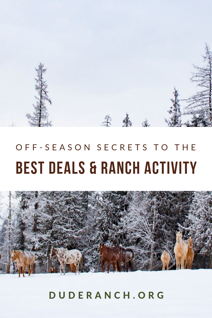 Off-Season Secrets to the