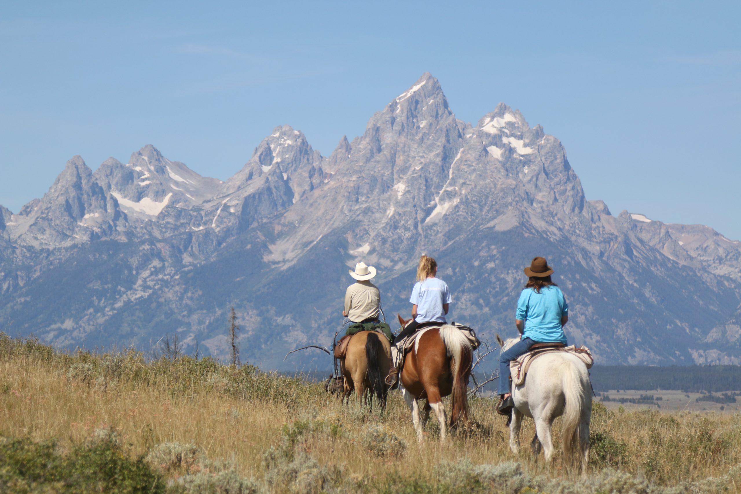 Moose Head Ranch Tetons