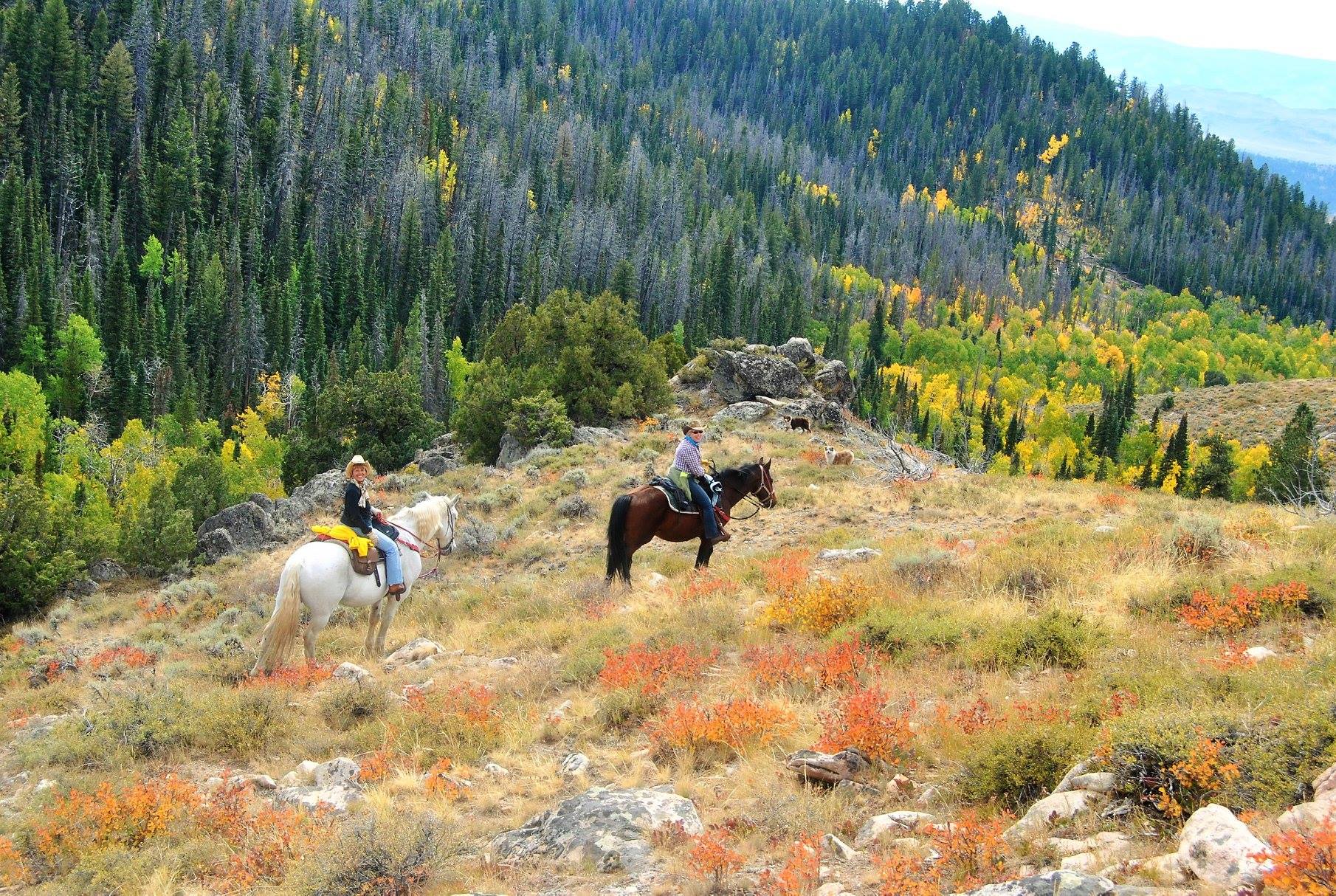 Horseback riding in the mountains