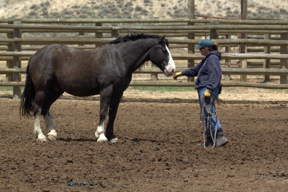 Laramie River Ranch